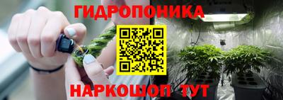 таблы Будённовск