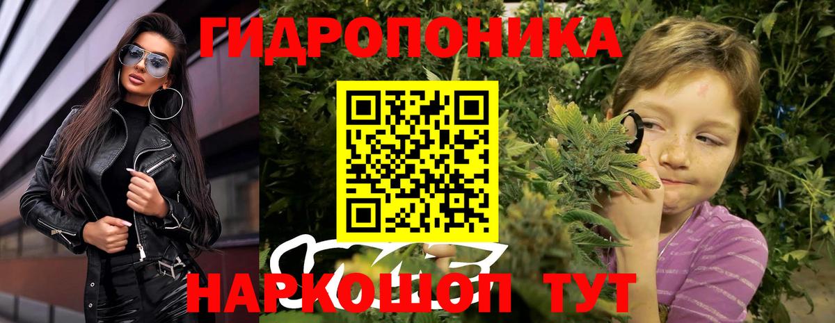 Конопля сатива Красногорск
